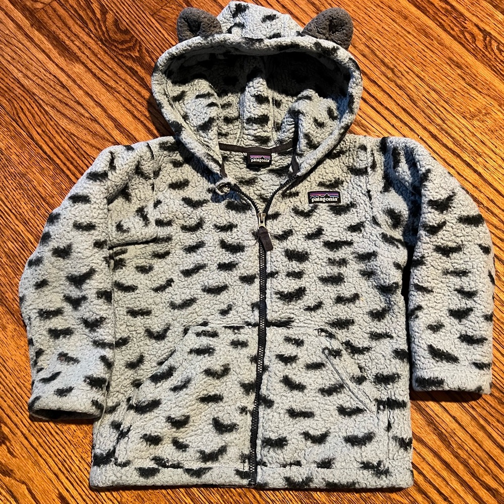 Patagonia hooded fleece